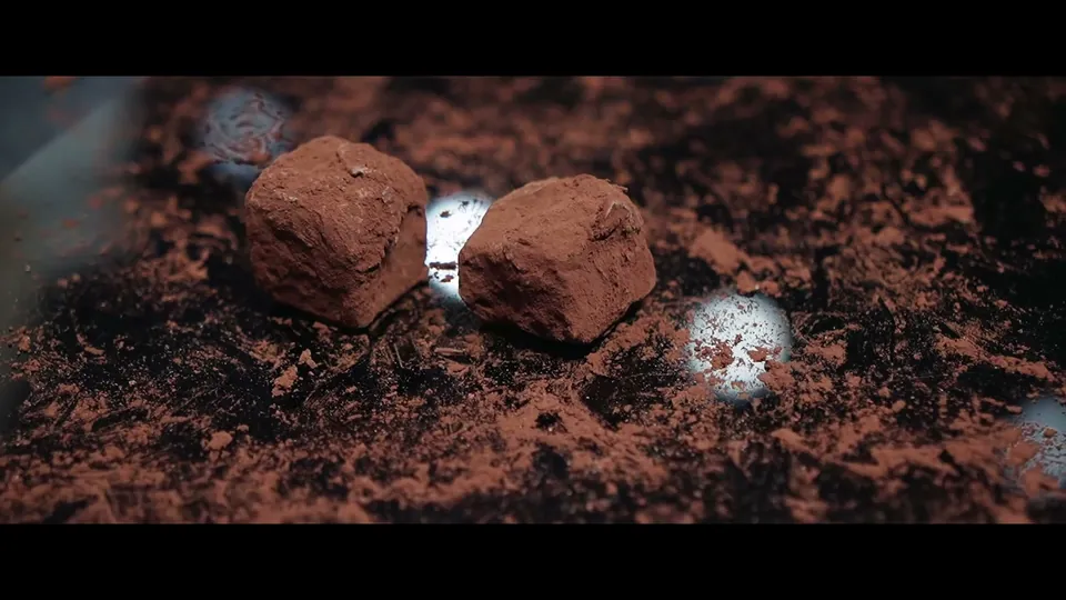 Merci Chef 2026 trailer video thumbnail